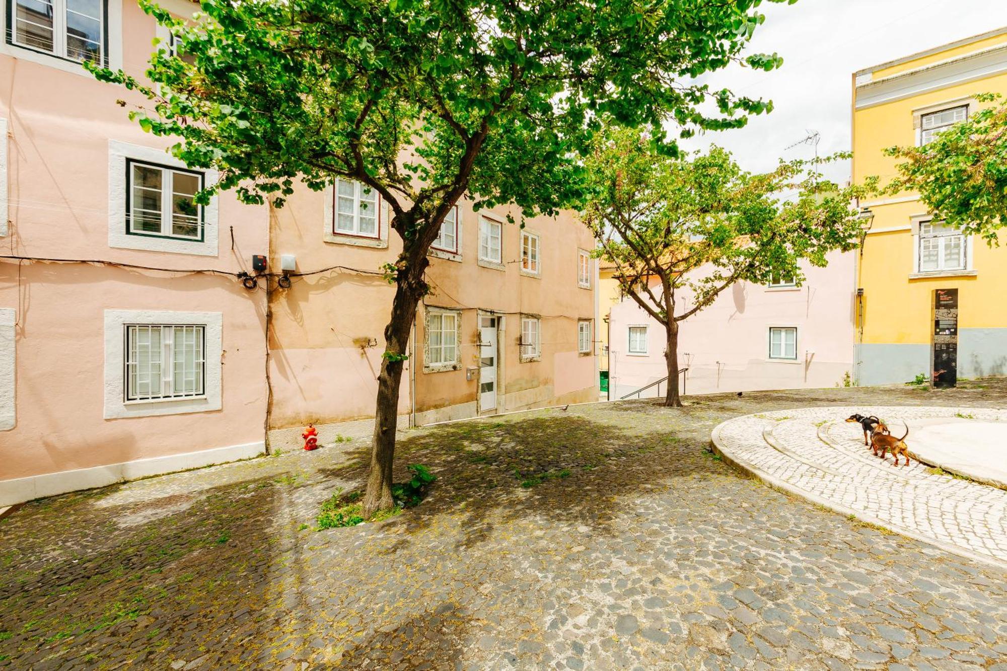 Rent4Rest Lisbon Downtown Tiny Studio Apartments Екстериор снимка